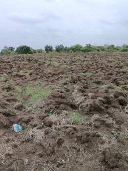  Agricultural Land for Sale in Kalameshwar, Nagpur