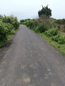  Agricultural Land for Sale in Kondhali, Nagpur
