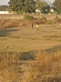  Agricultural Land for Sale in Dahegaon, Nagpur