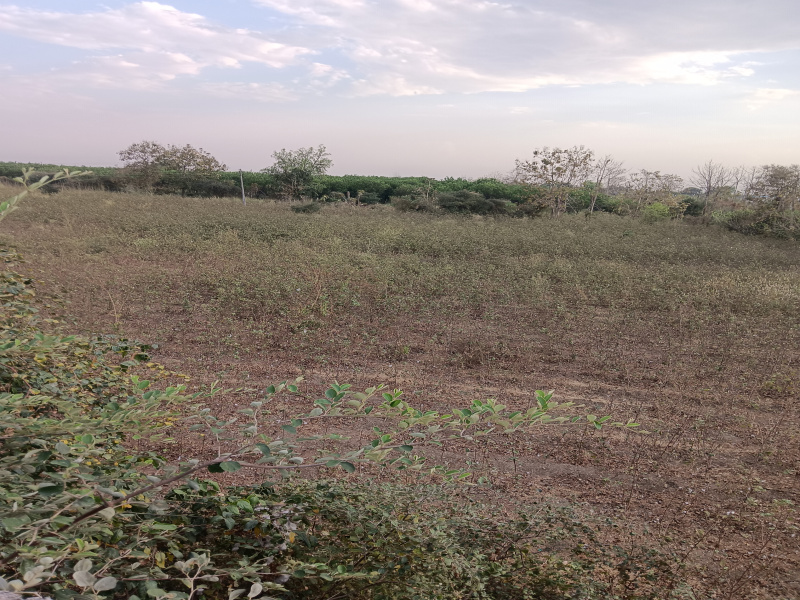 Kalameshwar, Nagpur photo 3