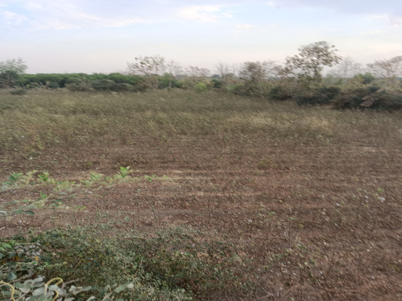 Kalameshwar, Nagpur photo 4