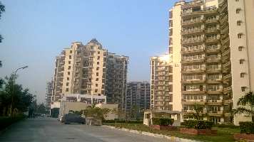 4 BHK Flat for Rent in TDI City Kundli, Sonipat
