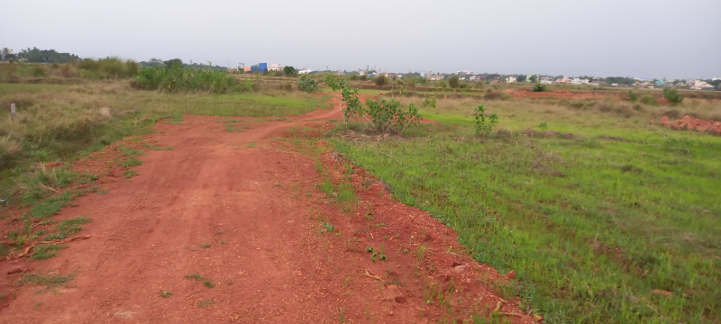  Residential Plot 1200 Sq.ft. for Sale in Gangapada, Bhubaneswar