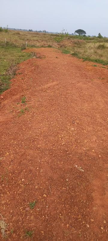  Residential Plot 1200 Sq.ft. for Sale in Gangapada, Bhubaneswar