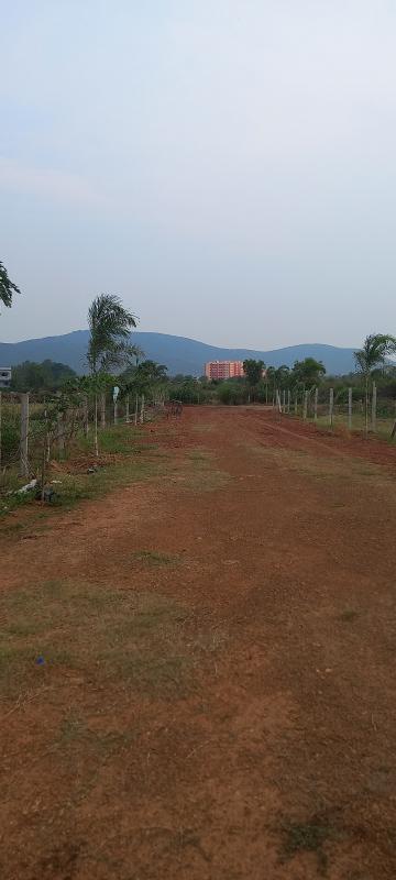  Residential Plot 1200 Sq.ft. for Sale in Pitapalli, Bhubaneswar