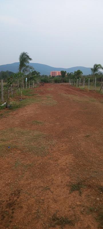  Residential Plot 1200 Sq.ft. for Sale in Pitapalli, Bhubaneswar