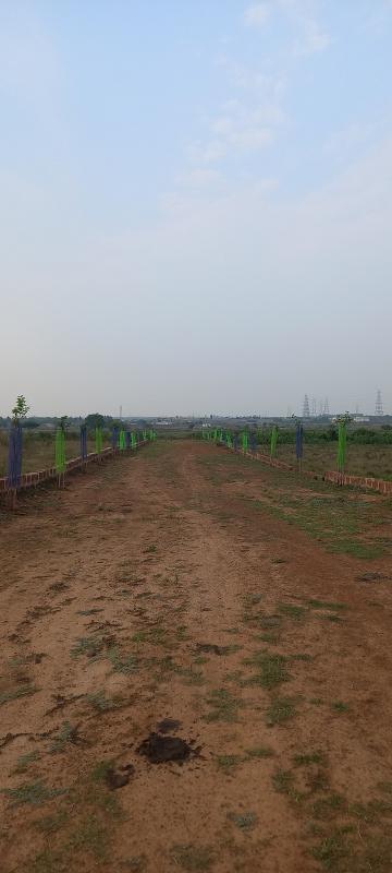  Residential Plot 1200 Sq.ft. for Sale in Pitapalli, Bhubaneswar