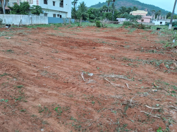  Residential Plot for Sale in Bheemili, Visakhapatnam