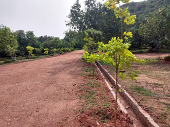  Residential Plot for Sale in Kothavalasa, Visakhapatnam