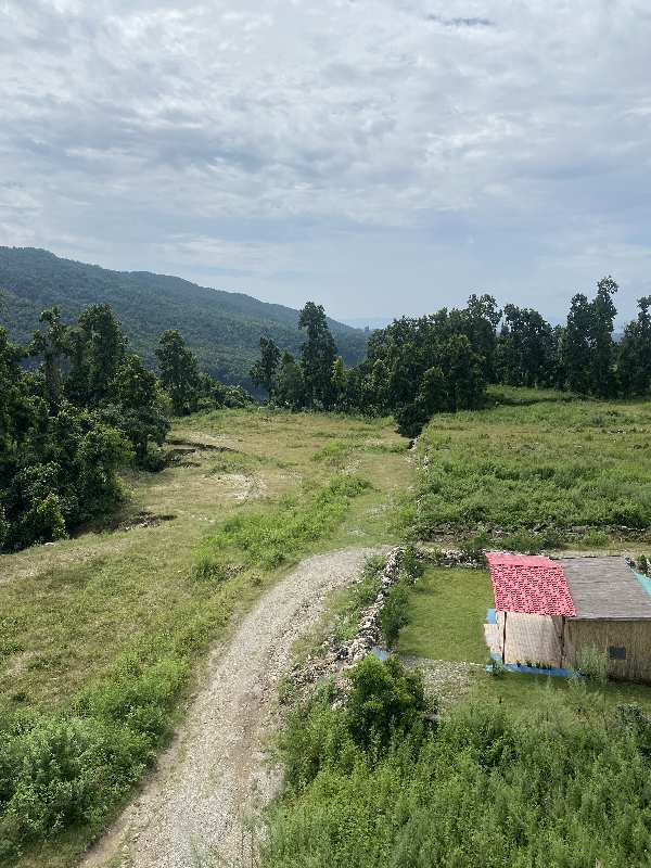 200 Sq. Yards Residential Plot for Sale in Dhaulas, Dehradun (REI1079676)