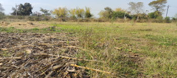  Industrial Land for Sale in Barapatthar, Seoni
