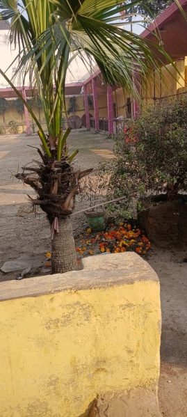  22500 Sq.ft. Commercial Land for Sale in Vibhav Nagar, Agra