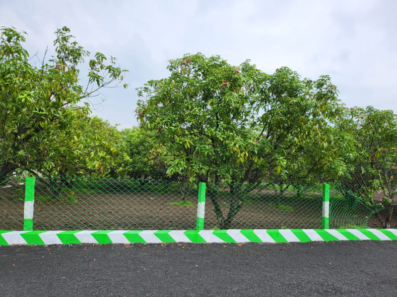 Olakkur, Villupuram photo 3