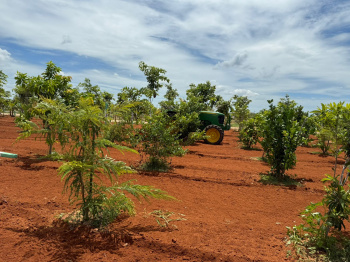  Agricultural Land for Sale in Cheyyur, Chengalpattu