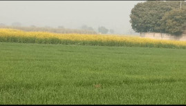  Agricultural Land for Sale in Hapur Road Industrial Area, Ghaziabad