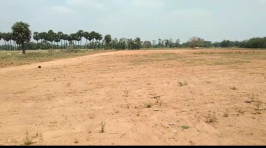  Agricultural Land for Sale in Arakkonam, Vellore