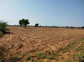  Industrial Land for Rent in Sirsi Road, Jaipur