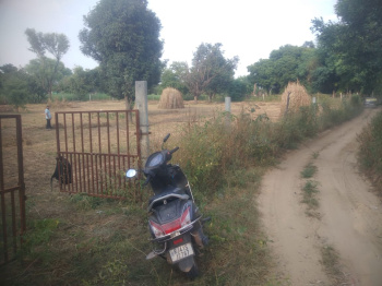  Agricultural Land for Sale in Chomu, Jaipur