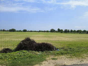  Agricultural Land for Sale in Sri Madhopur, Sikar