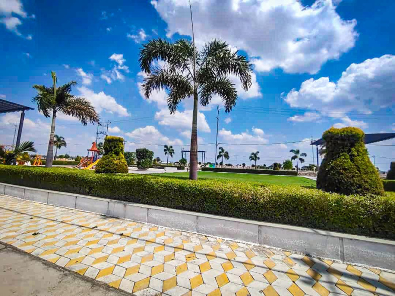  Residential Plot 1250 Sq.ft. for Sale in Super Corridor, Indore