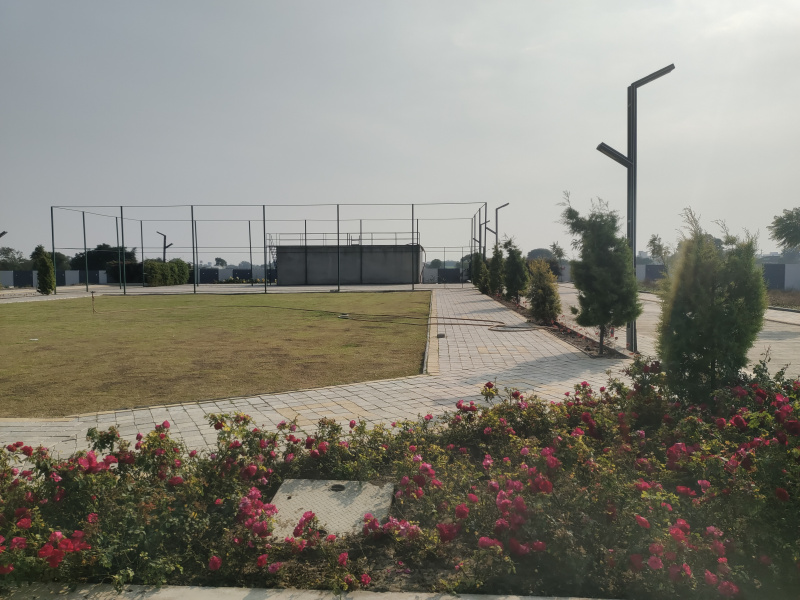  800 Sq.ft. Residential Plot for Sale in Panchderiya, Indore