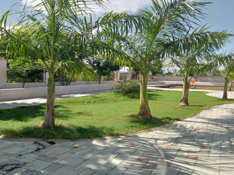  Residential Plot 1000 Sq.ft. for Sale in Jamtha, Nagpur