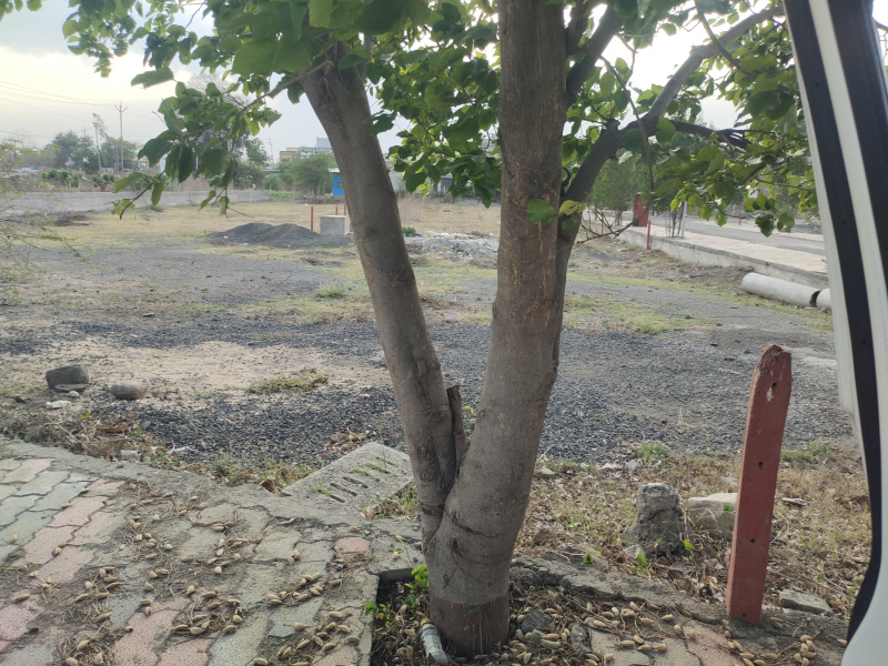  Commercial Land 3600 Sq.ft. for Sale in Katol Road, Nagpur