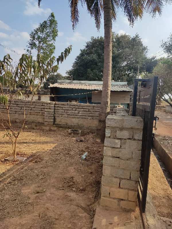 2160 Sq.ft. Residential Plot for Sale in Hoskote, Bangalore (REI1081561)