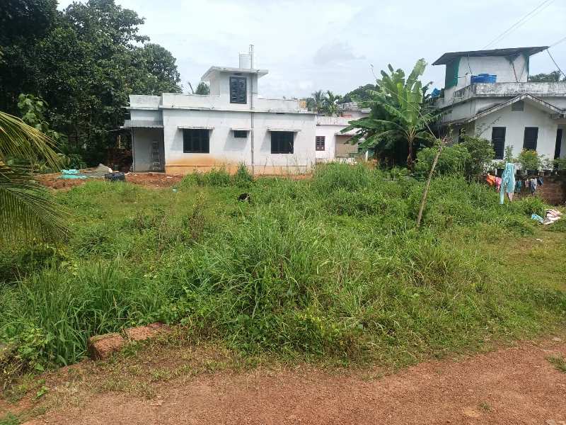 Residential Plot 11 Cent for Sale in Pookkottur, Malappuram