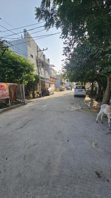 Subhash Nagar, Kota photo 2
