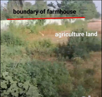  Agricultural Land for Sale in Gautam Budh Nagar, Greater Noida