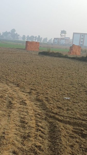  Residential Plot 1000 Sq.ft. for Sale in Sukrauli, Kushinagar