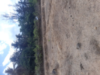  Agricultural Land for Sale in Ankola, Uttara Kannada