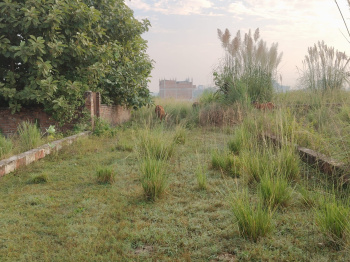  Industrial Land for Sale in Barwala, Hisar