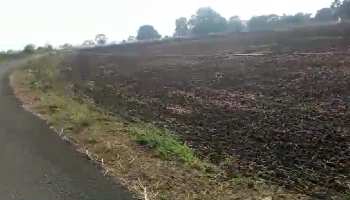  Agricultural Land for Sale in Karmeta, Jabalpur
