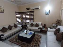 1 BHK Flat for Sale in Sector 127 Chandigarh