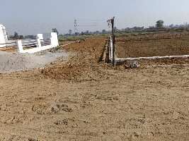  Residential Plot for Sale in Tappal, Aligarh