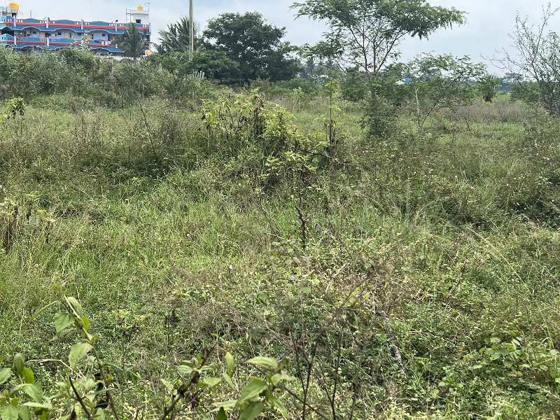  Residential Plot 94 Cent for Sale in Zuzuwadi, Hosur