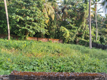  Residential Plot for Sale in Eroor, Ernakulam