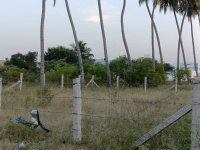  Residential Plot for Sale in RM Colony, Dindigul