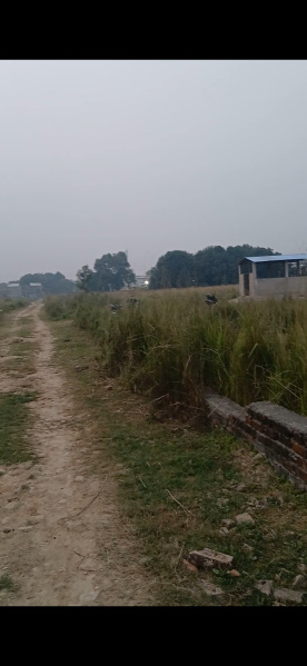  Residential Plot 3600 Sq.ft. for Sale in Amara Khaira Chak, Varanasi