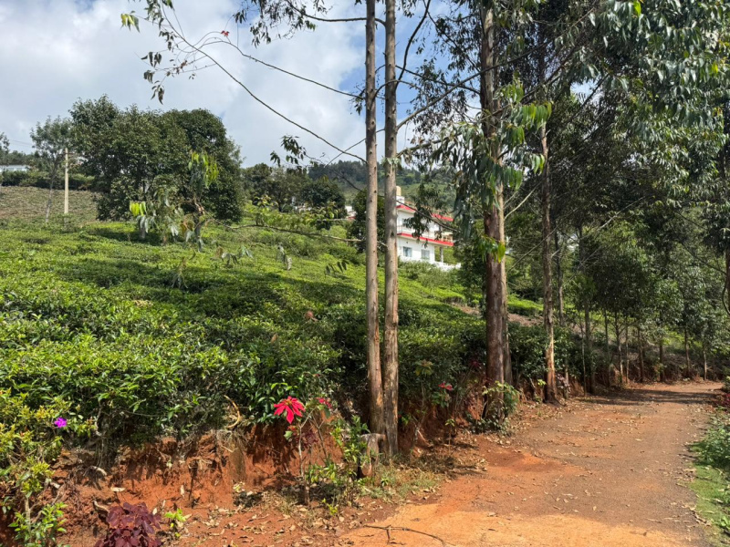  Residential Plot 1200 Sq.ft. for Sale in Coonoor, Nilgiris