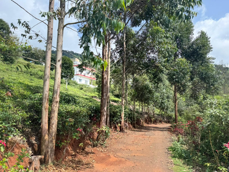  Residential Plot 1200 Sq.ft. for Sale in Coonoor, Nilgiris