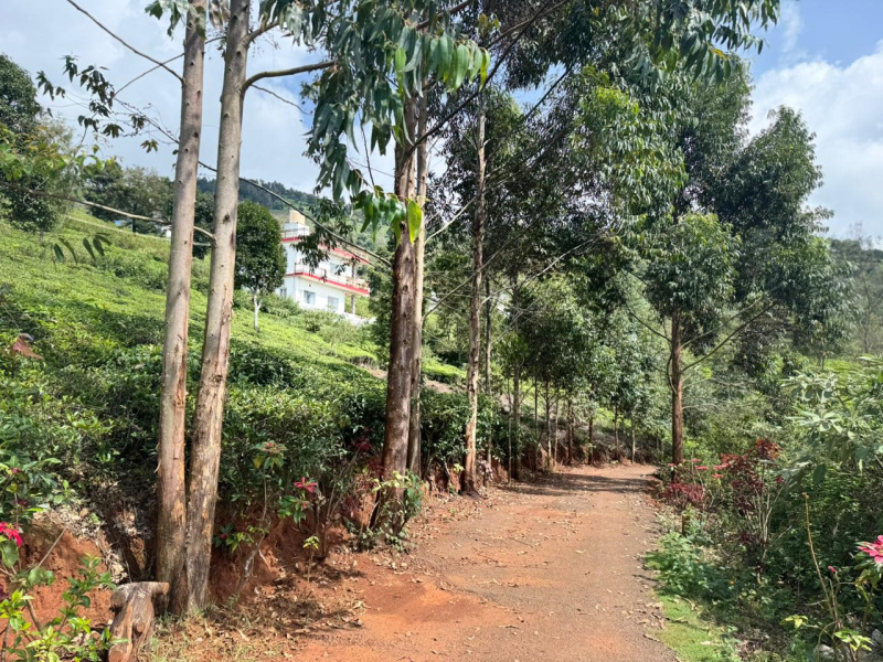  Residential Plot 1200 Sq.ft. for Sale in Coonoor, Nilgiris