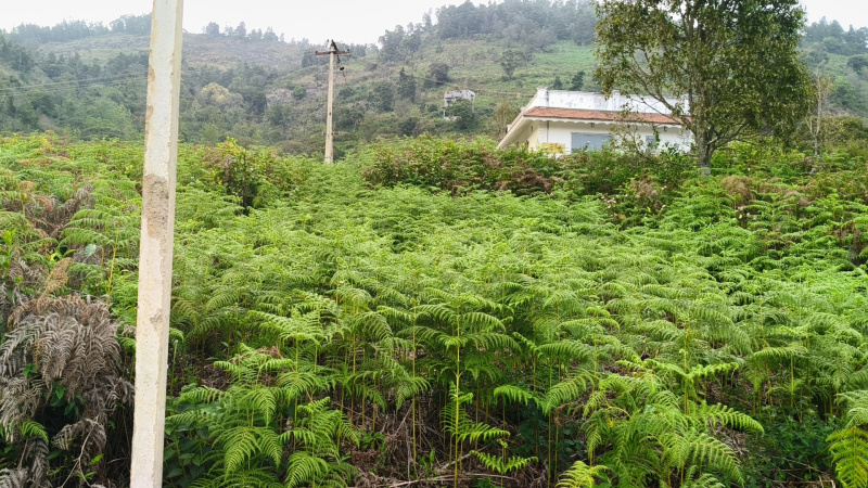  Residential Plot 2400 Sq.ft. for Sale in Coonoor, Nilgiris