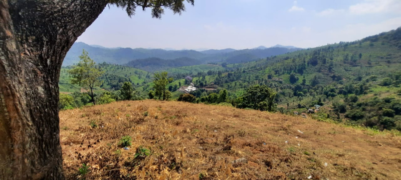  Agricultural Land 1 Acre for Sale in Kodaikanal, Dindigul