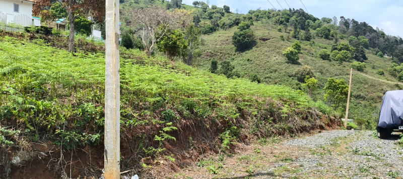  Agricultural Land 23 Cent for Sale in Vilpatti, Kodaikanal