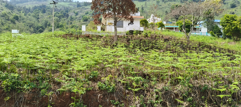  Agricultural Land 23 Cent for Sale in Vilpatti, Kodaikanal