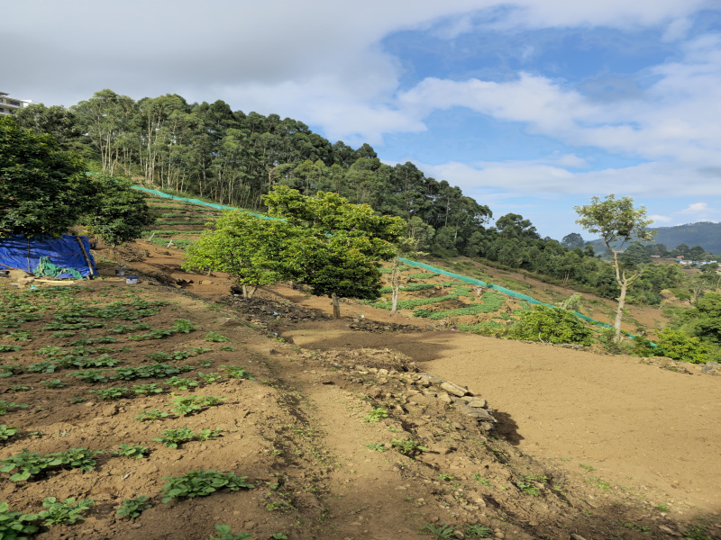  Agricultural Land 38 Cent for Sale in Mannavanur, Kodaikanal