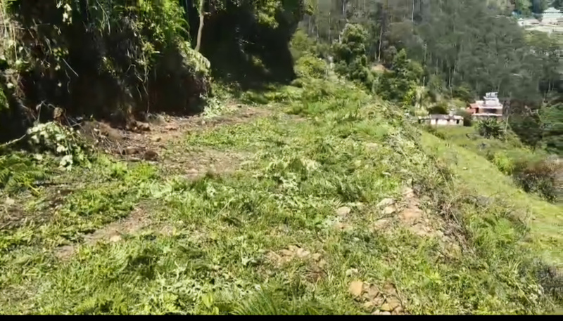  Residential Plot 10 Cent for Sale in Vilpatti, Kodaikanal